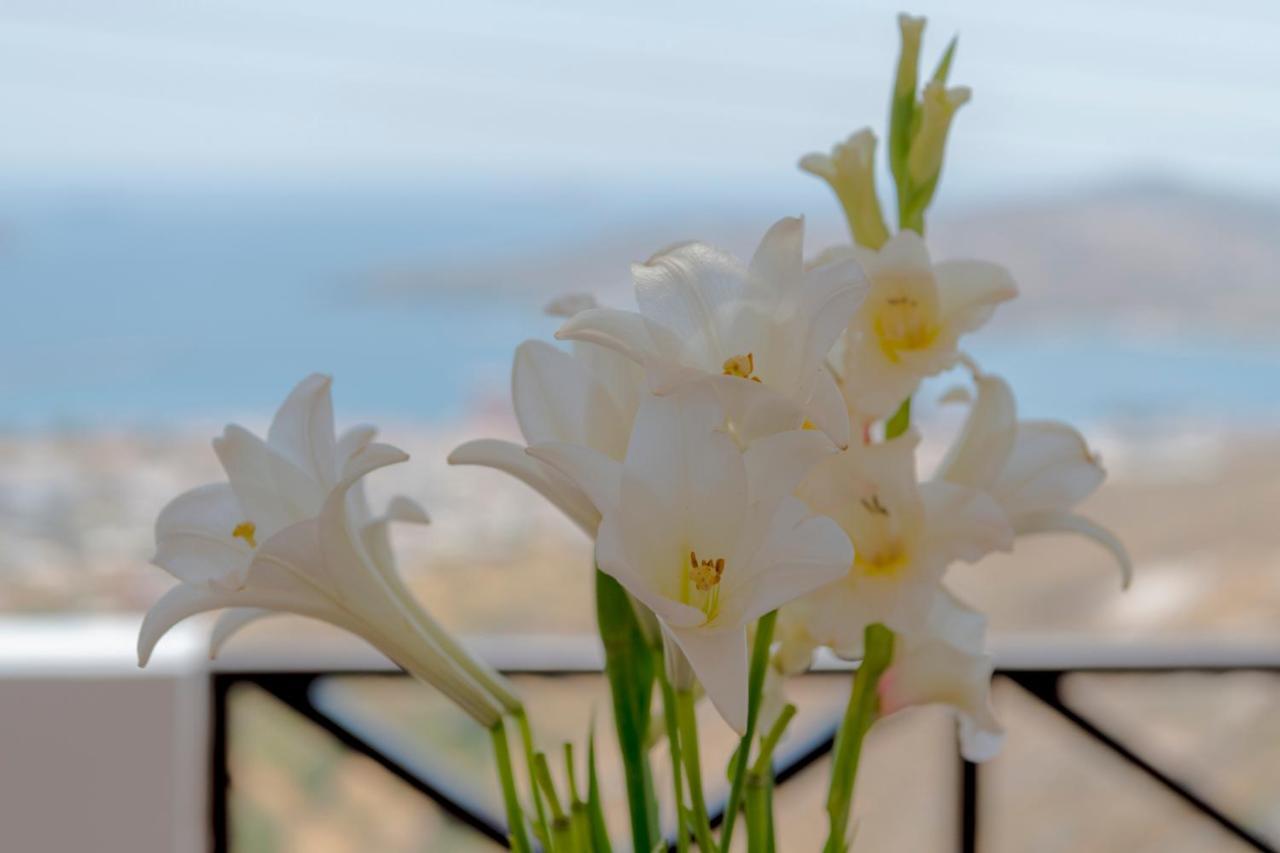 Vera Vista Syros Ano Syros Esterno foto